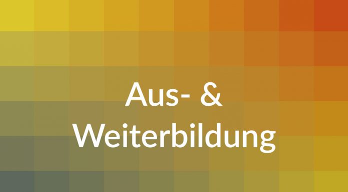 HITS: „Journalist in Residence“-Programm wird international