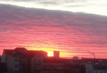 Braucht die TELI ein neues Selbstverständnis?