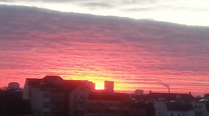 Braucht die TELI ein neues Selbstverständnis?