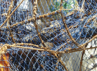 Werkzeuge auch für Wissenschafts- und Technikjournalisten