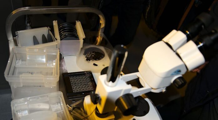 MINT: Europa muss US-Modell nicht nachahmen Die Nanotechnologie ist ein Schwerpunktbereich der Forschung am CEITEC BUT.
